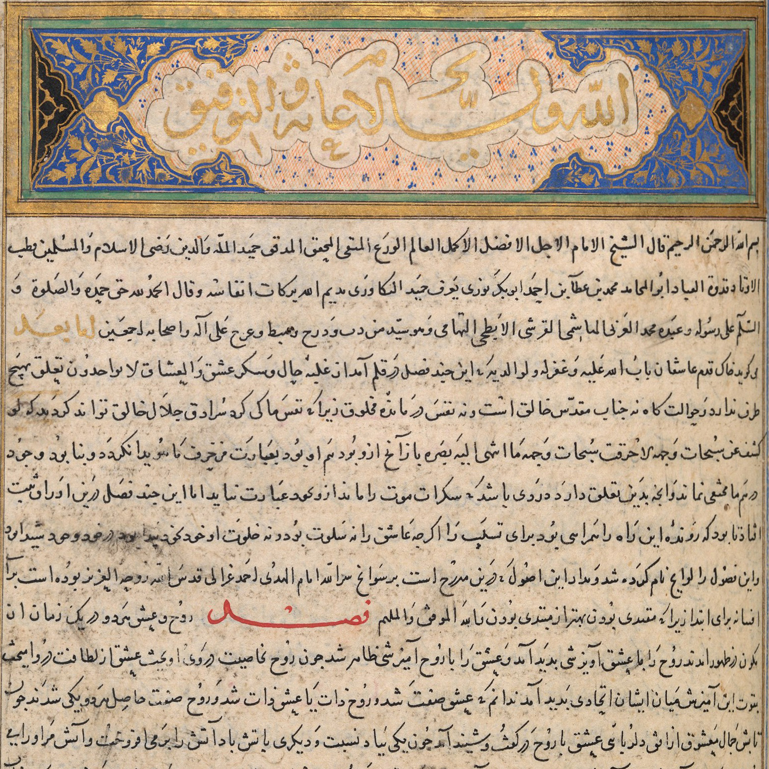 Persian Study Assist